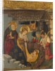 The Nativity, c. 1457 by Jaume Ferrer