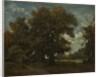 The Oak Tree, 19th century by Théodore Rousseau (imitator of)