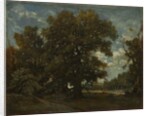 The Oak Tree, 19th century by Théodore Rousseau (imitator of)