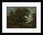 The Oak Tree, 19th century by Théodore Rousseau (imitator of)