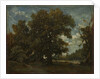 The Oak Tree, 19th century by Théodore Rousseau (imitator of)