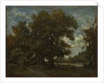 The Oak Tree, 19th century by Théodore Rousseau (imitator of)