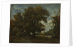 The Oak Tree, 19th century by Théodore Rousseau (imitator of)