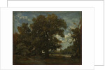 The Oak Tree, 19th century by Théodore Rousseau (imitator of)