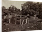 The Paranirvana of Buddha, Gal Vihara, Polonnaruva, Ceylon, 1870-1871 by Joseph Lawton
