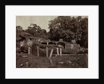 The Paranirvana of Buddha, Gal Vihara, Polonnaruva, Ceylon, 1870-1871 by Joseph Lawton