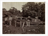The Paranirvana of Buddha, Gal Vihara, Polonnaruva, Ceylon, 1870-1871 by Joseph Lawton