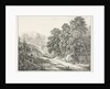 The Path by the Kochelsee, 1809 by Simon Warnberger