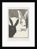 The Rabbits, 1893 by Henri Charles Guérard