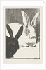 The Rabbits, 1893 by Henri Charles Guérard