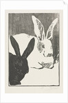 The Rabbits, 1893 by Henri Charles Guérard