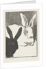The Rabbits, 1893 by Henri Charles Guérard