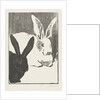 The Rabbits, 1893 by Henri Charles Guérard