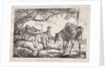 The Sleeping Soldier by Carle Vernet