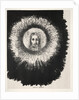The Temptation of Saint Anthony: And In the Very Disk of the Sun Shines…, 1888 by Odilon Redon; Becquet; Edmond Deman