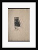 The Temptation of Saint Anthony: Cover, 1888 by Odilon Redon; Becquet; Edmond Deman