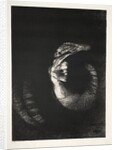 The Temptation of Saint Anthony: It Is a Skull Wreathed with Roses…, 1888 by Odilon Redon; Becquet; Edmond Deman