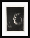 The Temptation of Saint Anthony: It Is a Skull Wreathed with Roses…, 1888 by Odilon Redon; Becquet; Edmond Deman