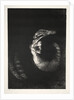 The Temptation of Saint Anthony: It Is a Skull Wreathed with Roses…, 1888 by Odilon Redon; Becquet; Edmond Deman