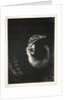 The Temptation of Saint Anthony: It Is a Skull Wreathed with Roses…, 1888 by Odilon Redon; Becquet; Edmond Deman