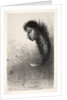 The Temptation of Saint Anthony: Then There Appears a Singular Being…, 1888 by Odilon Redon; Becquet; Edmond Deman