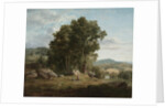 The Wood Chopper, 1849 by George Inness