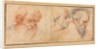 Three Head Studies, 1600s by Unknown