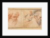 Three Head Studies, 1600s by Unknown