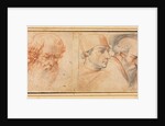 Three Head Studies, 1600s by Unknown