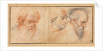 Three Head Studies, 1600s by Unknown