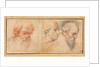 Three Head Studies, 1600s by Unknown