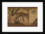 Tiger and Leopard, 1668 by Sekkei Yamaguchi