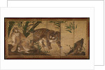 Tiger and Leopard, 1668 by Sekkei Yamaguchi