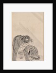 Tiger in Wind and Rain, 1776 by Maruyama Okyo