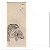 Tiger in Wind and Rain, 1776 by Maruyama Okyo