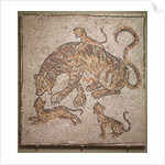 Tigress and Cubs, 300s by Unknown