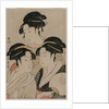 Tomimoto Toyohina, Takashimaya Ohisa, and Naniwaya Okita, c. 1794 by Kitagawa Utamaro