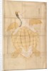 Tortoise, 18th century by Unknown
