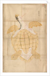 Tortoise, 18th century by Unknown