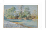 Traunstein River on the Road to Empfig, Bavaria, about 1893-96 by William Stanley Haseltine