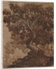 Tree in a Landscape, mid 17th century by Ercole Bazicaluva