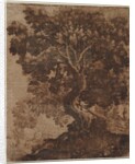 Tree in a Landscape, mid 17th century by Ercole Bazicaluva