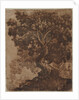 Tree in a Landscape, mid 17th century by Ercole Bazicaluva