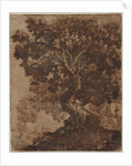 Tree in a Landscape, mid 17th century by Ercole Bazicaluva