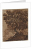 Tree in a Landscape, mid 17th century by Ercole Bazicaluva