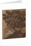 Tree in a Landscape, mid 17th century by Ercole Bazicaluva