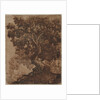 Tree in a Landscape, mid 17th century by Ercole Bazicaluva