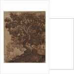 Tree in a Landscape, mid 17th century by Ercole Bazicaluva
