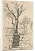 Tree on Top of a Stone Wall, Cleveland by Otto H. Bacher