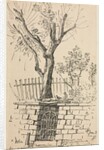 Tree on Top of a Stone Wall, Cleveland by Otto H. Bacher
